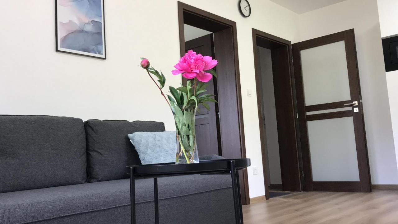 Apartmán Apartmán NA KOPCI Krucemburk Exteriér fotografie